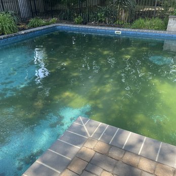Trident Pool Services - Pool before green to clean - Pool Cleaners Near Me - New York, New York Trident Pool Services - Pool before green to clean - Pool Cleaners Near Me - New York, New York