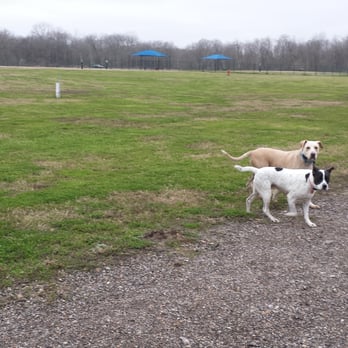 Kitty Hollow Park - Pups enjoying the dog park - Parks Near Me - Missouri City, Texas Kitty Hollow Park - Pups enjoying the dog park - Parks Near Me - Missouri City, Texas