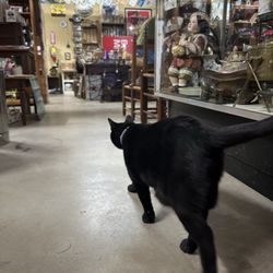 Sutton and Son's Antiques