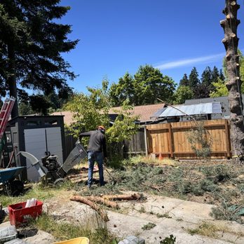 The Wood Cracker - Big timber - Tree Services Near Me The Wood Cracker - Big timber - Tree Services Near Me