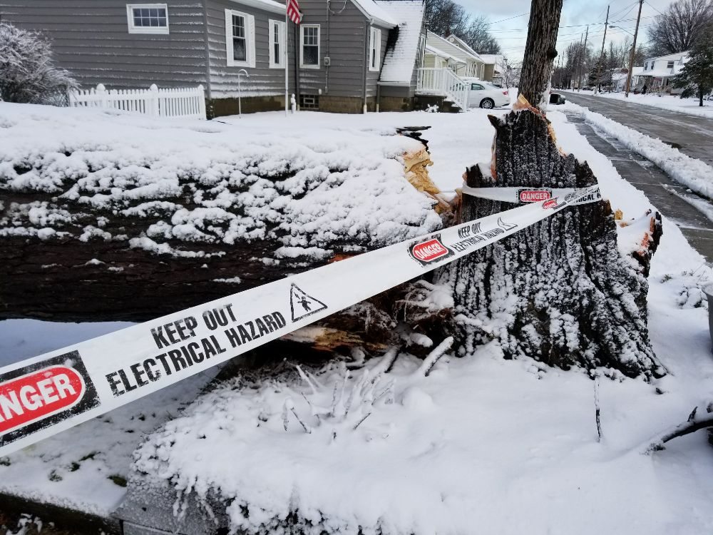Tree Master Tree Care - tree service in Cleveland, OH