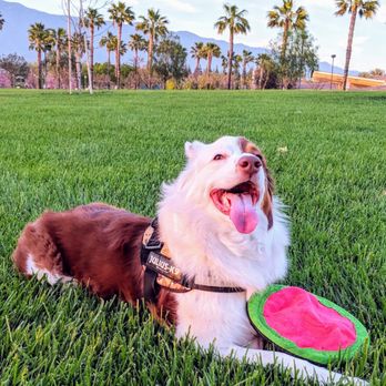 Central Park - Baby resting at Central Park - Parks Near Me - Rancho Cucamonga, California