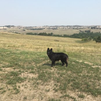 Bette's Kitchen - Sapa the coolest dog! - Cafes Near Me - Manderson-White Horse Creek, South Dakota