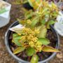Photo of White River Nursery