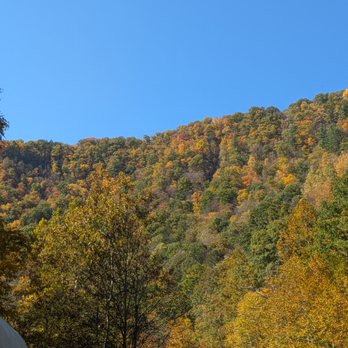 Ole' Covered Wagon Tours - Tours Near Me