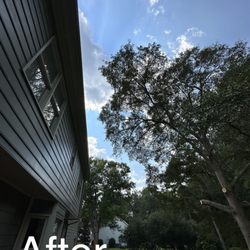 Arnul Tree Service