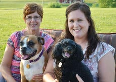 Waggs 2 Whiskers - pet boarding facility in Bagdad, KY