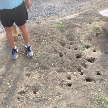 Almond Tree Oasis - Beetle holes - RV Parks Near Me - Coalinga, California Almond Tree Oasis - Beetle holes - RV Parks Near Me - Coalinga, California