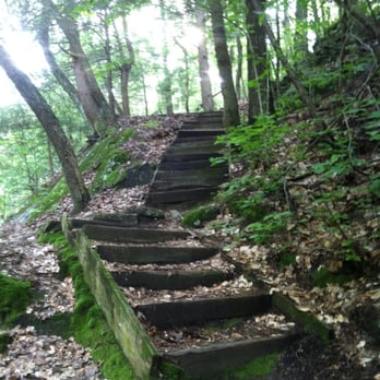 Enders State Forest - Parks Near Me - Granby, Connecticut