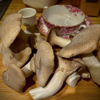 Mushrooms on Main - Gorgeous trumpet mushrooms - Specialty Food Near Me - Cambria, California Mushrooms on Main - Gorgeous trumpet mushrooms - Specialty Food Near Me - Cambria, California