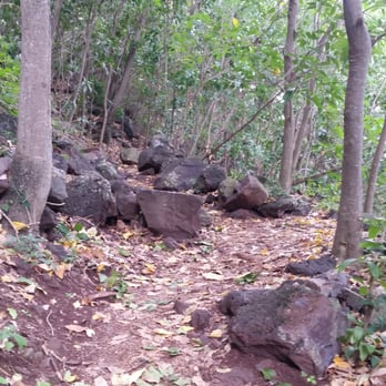 Kealia Trail - The beginning is easy. - Hiking Near Me Kealia Trail - The beginning is easy. - Hiking Near Me
