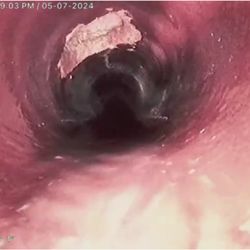 Triple G Hydrojetting - Found broken pipe root intrusion.