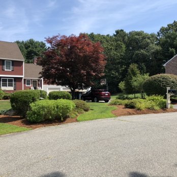 Natural Landscape Concepts - Shrub trimming/Edging/mulching - Landscaping Near Me