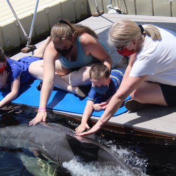 Dolphins Plus - Aquariums Near Me - Key Largo, Florida