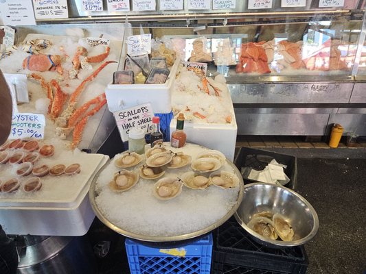 City Fish Co. by null