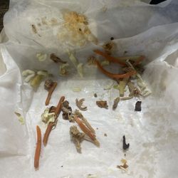 I ate it all! I'm said it's gone....