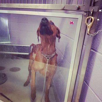 Toronto Humane Society - Animal Shelters Near Me - Toronto, Ontario Toronto Humane Society - Animal Shelters Near Me - Toronto, Ontario