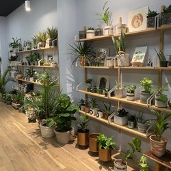Intent - All live plants.