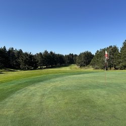 Manzanita Links