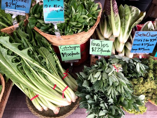 Montavilla Farmers Market by null