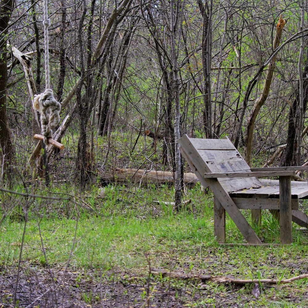 East Don Parkland - Rope swing & bench on north western corner of park - Parks Near Me - Toronto, Ontario East Don Parkland - Rope swing & bench on north western corner of park - Parks Near Me - Toronto, Ontario