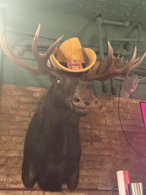 Foster & Logans Pub & Grill by null