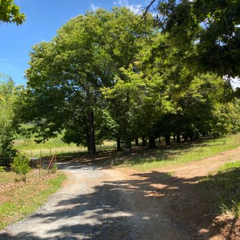 Smokey Ridge Ranch - Wineries Near Me - Placerville, California Smokey Ridge Ranch - Wineries Near Me - Placerville, California