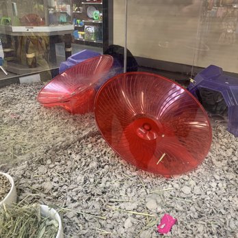 Petco - Pet Groomers Near Me - Kaneohe, Hawaii