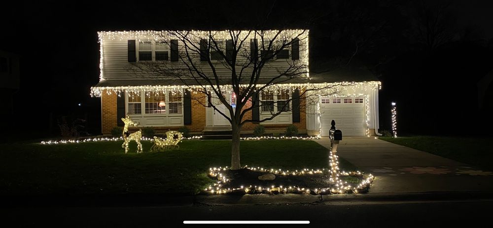 Igo General Outdoor Solutions - tree service in Wilmington, DE