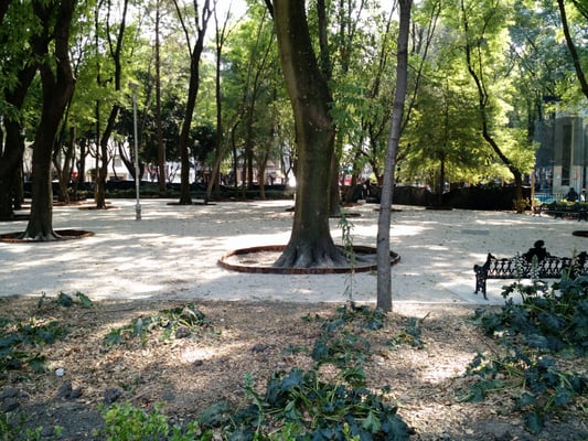 Parque México by null