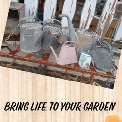 Route 40 Village & Antique - Watering pitxhers for your garden