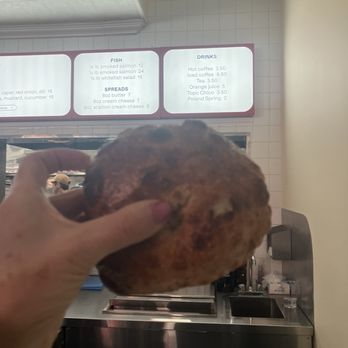 Apollo Bagels - It's the bomb - Bagels Near Me - New York, New York Apollo Bagels - It's the bomb - Bagels Near Me - New York, New York