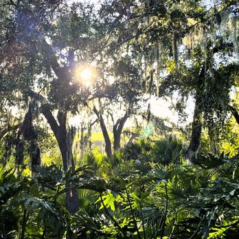 The Back Porch Southern Eats - Beautiful views - Southern Near Me - Fernandina Beach, Florida The Back Porch Southern Eats - Beautiful views - Southern Near Me - Fernandina Beach, Florida