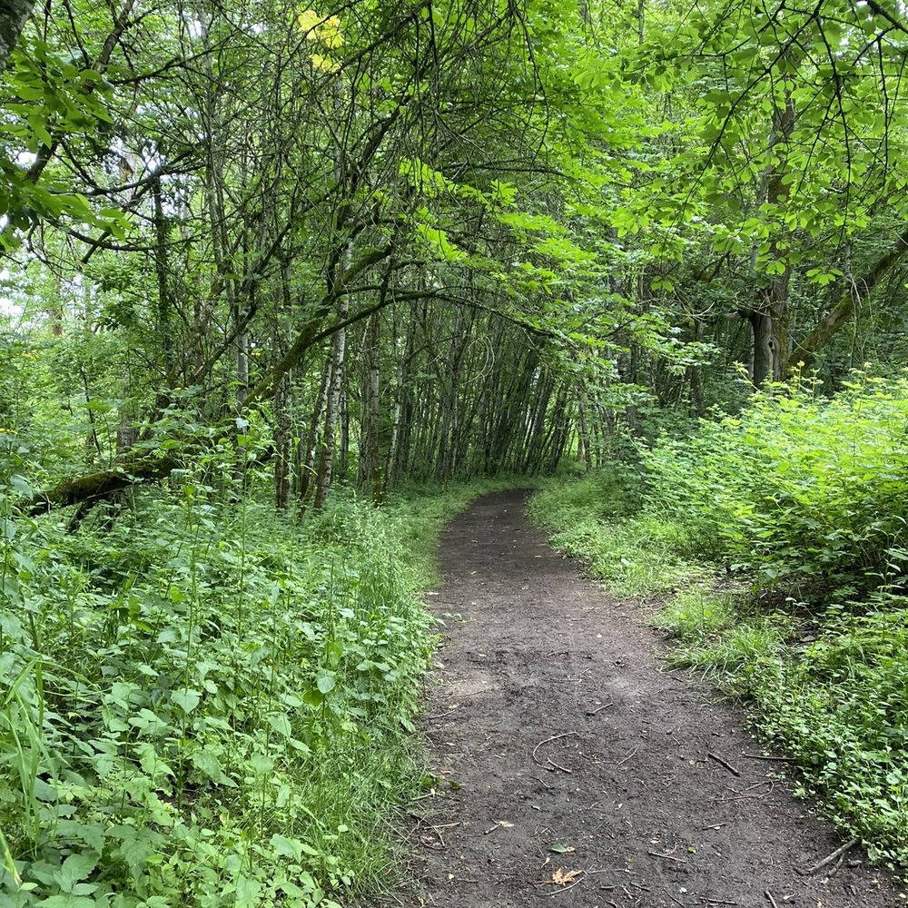 Champoeg State Park - Path through forest - Campgrounds Near Me - Saint Paul, Oregon Champoeg State Park - Path through forest - Campgrounds Near Me - Saint Paul, Oregon