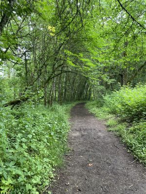 Champoeg State Park by null