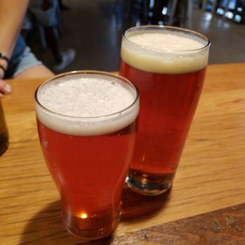 Bosque Brewing - Nob Hill Public House - Elephants on Parade And Brewer's Boot Amber Ale - Brewpubs Near Me - Albuquerque, New Mexico Bosque Brewing - Nob Hill Public House - Elephants on Parade And Brewer's Boot Amber Ale - Brewpubs Near Me - Albuquerque, New Mexico