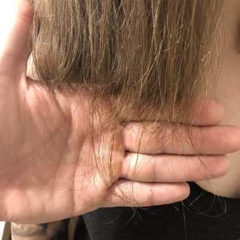 Hair Therapy Salon - Bad haircut - Hair Salons Near Me - Tempe, Arizona Hair Therapy Salon - Bad haircut - Hair Salons Near Me - Tempe, Arizona