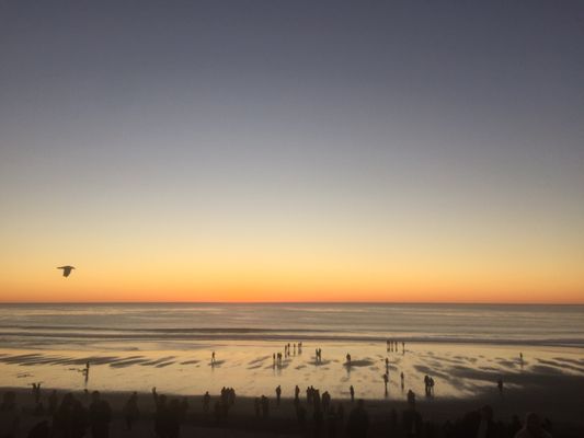 Carmel-By-The-Sea by null
