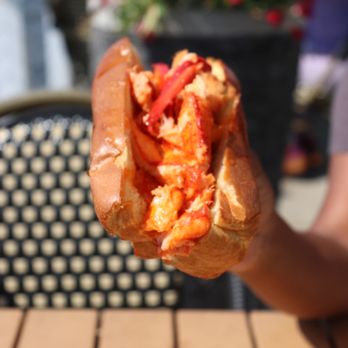 Harbor Lights - Lobster Roll - Seafood Near Me - Norwalk, Connecticut Harbor Lights - Lobster Roll - Seafood Near Me - Norwalk, Connecticut