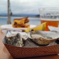 Oysters