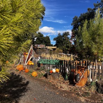 Fort Cross Old Timey Adventures - Tours Near Me - Santa Ysabel, California