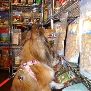Doggone Natural - Kiyomi's torn between getting the beef or cheese - Pet Stores Near Me - Ashburn, Virginia
