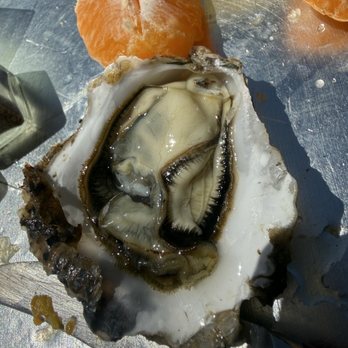 Tomales Bay Oyster Company - Fresh Oyster from Tamalas Bay - Seafood Markets Near Me - Marshall, California Tomales Bay Oyster Company - Fresh Oyster from Tamalas Bay - Seafood Markets Near Me - Marshall, California