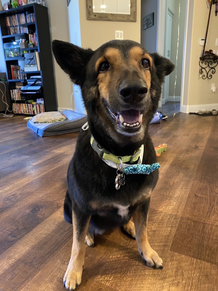 ROYAL HEINIES Updated April 2024 65 Photos & 11 Reviews 670 E