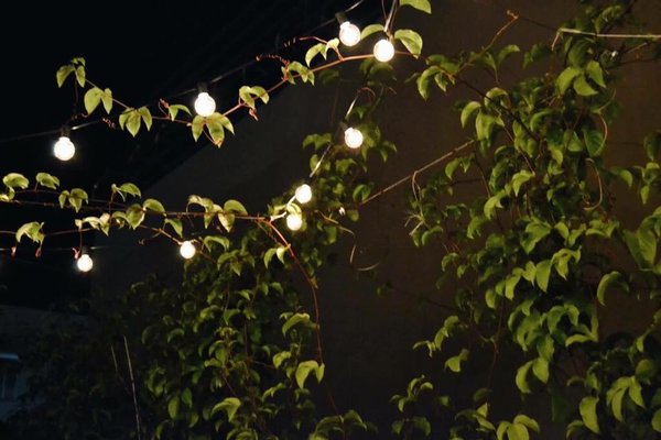 La Penúltima by null