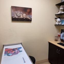 Southern Hills Animal Hospital - Exam room