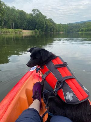 Front Royal Outdoors by null