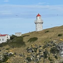 Taiaroa Head Lighthouse