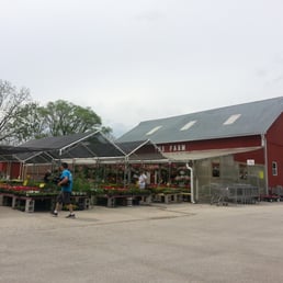 Shopping for mothers day flowering plants ;)