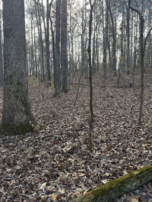 Cochran Mill Park by null